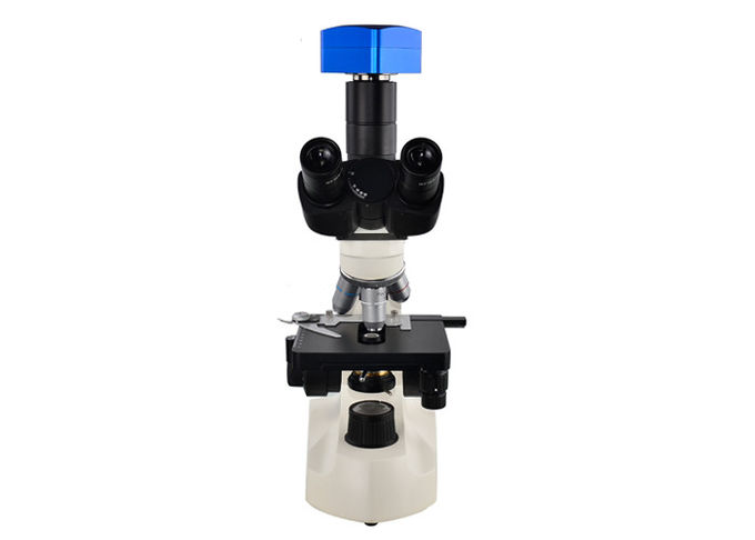C303 Entry Level Clinical Laboratory Microscopes WF10X18 Eyepiece For Hospital