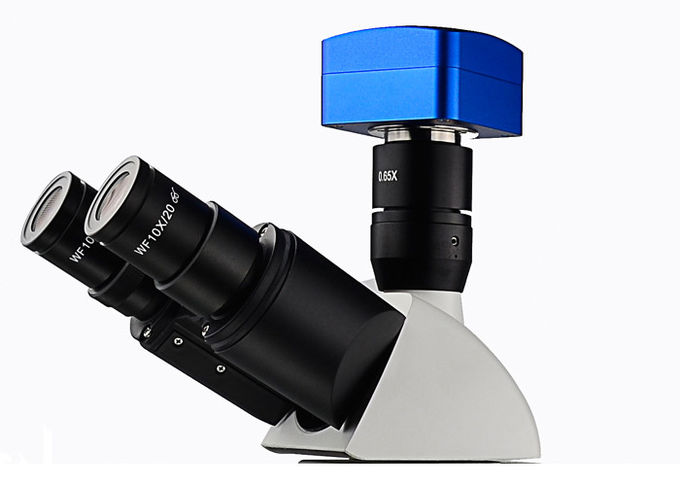 Professional Optical Metallurgical Microscope UM203i With 12V 50W Light Source